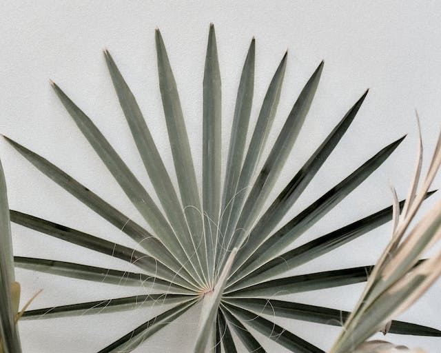 Špičkové čištění vzduchu