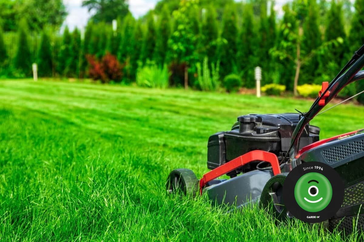 Údržba zahrad a teras