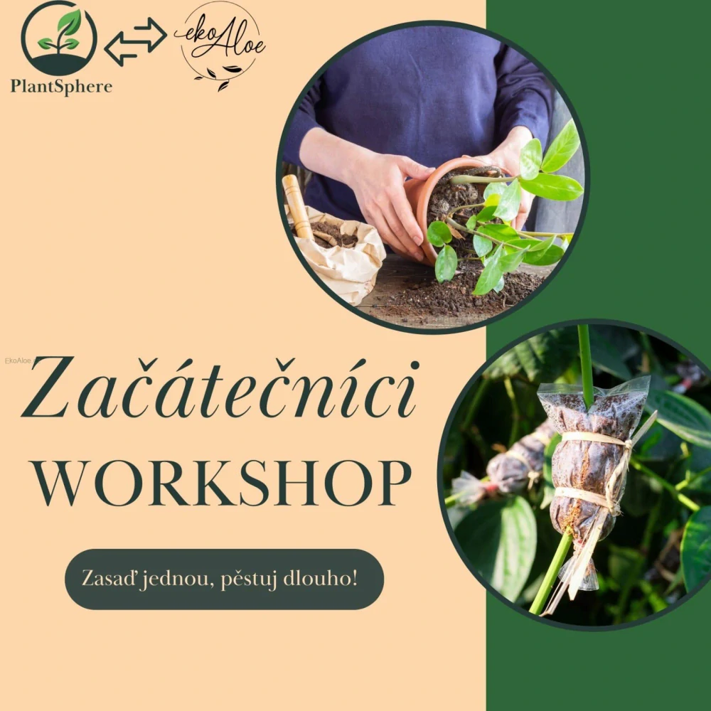Workshop pro začínající pěstitele