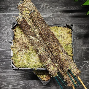 Podpůrná mechová tyč pro pnoucí rostliny. Ručně vyráběná z rašeliníku