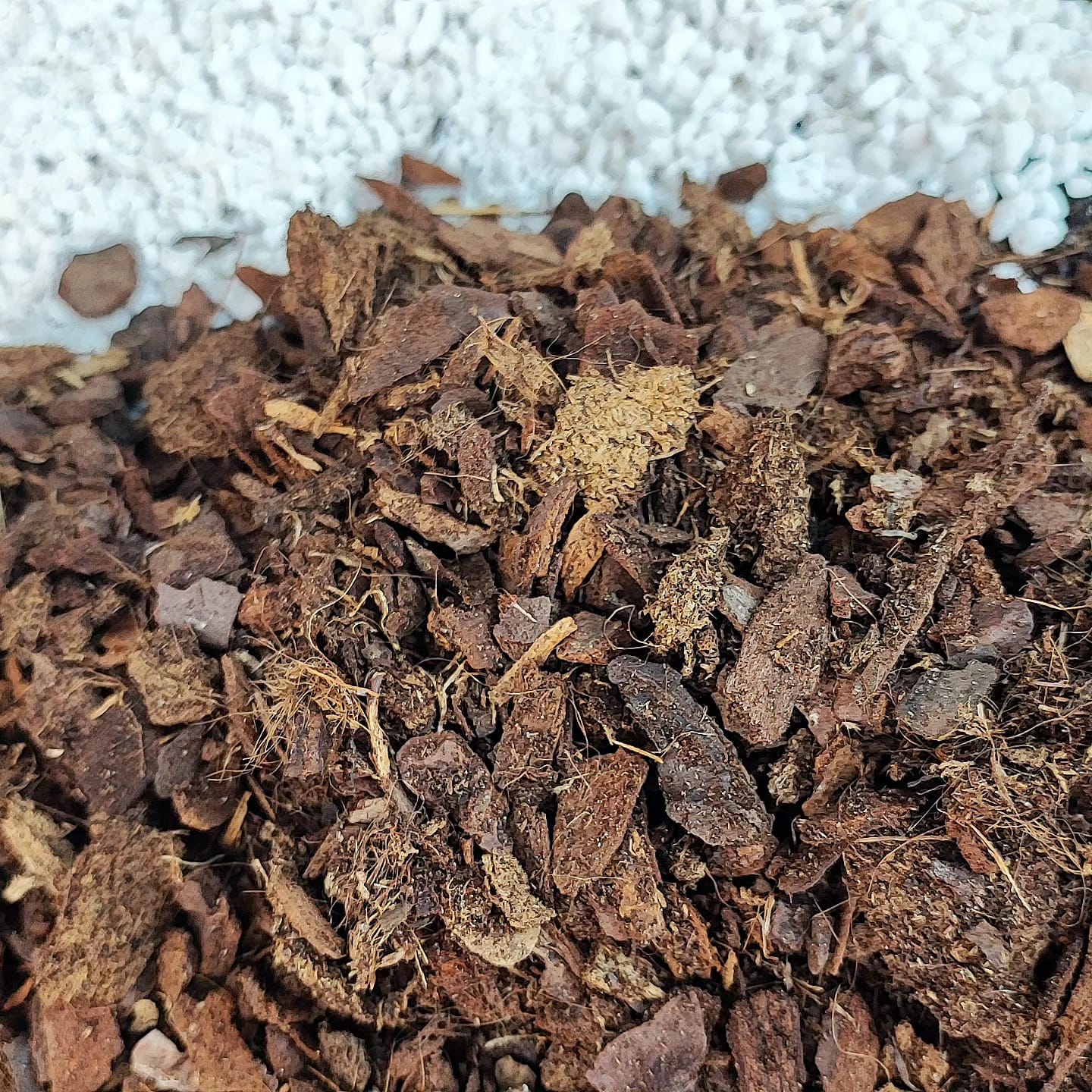 Náš prémiový Hoya Mix 5 Litrů