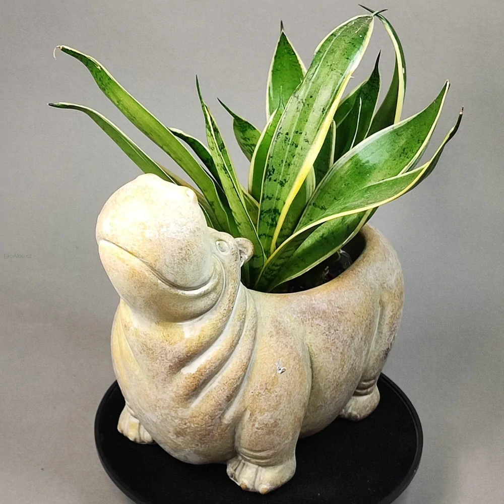 Květináč HIPPOPOTAMUS