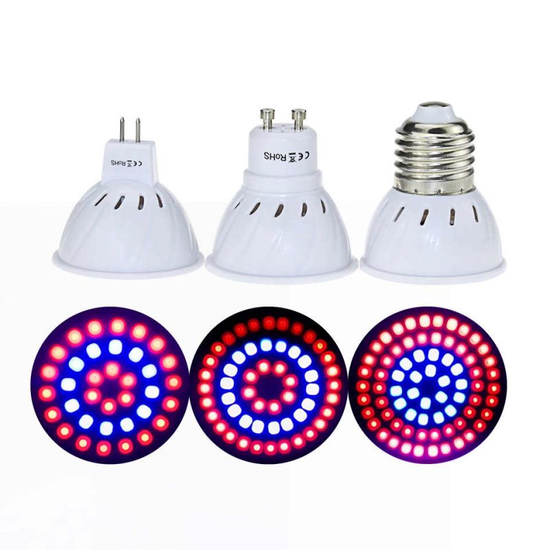 LED spektrální žárovka RB  MR16(GU5.3) 4W
