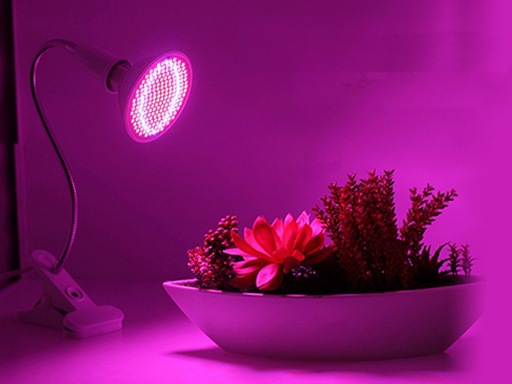 LED spektrální žárovka RB E14 4W