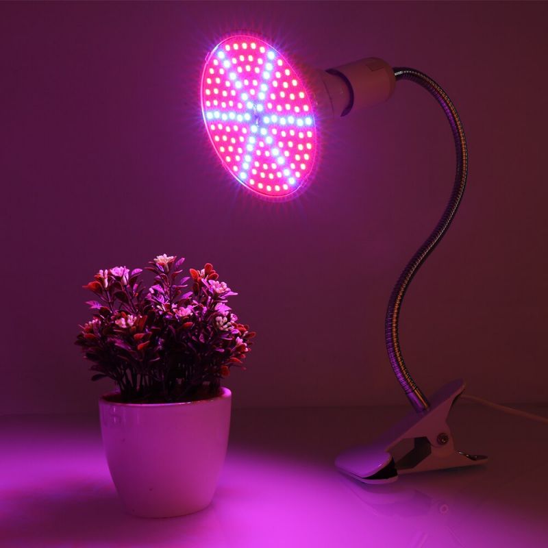 LED spektrální žárovka RB E14 4W