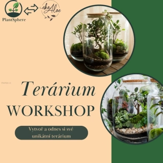 Workshop-výroba floraria