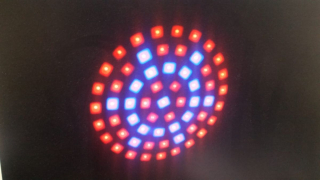LED spektrální žárovka RB MR16(GU5.3) 4W